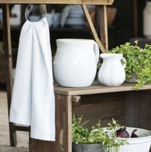 Regalino | Lively Style