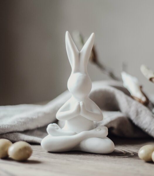 Bunny *Yoga* Majas Cottage