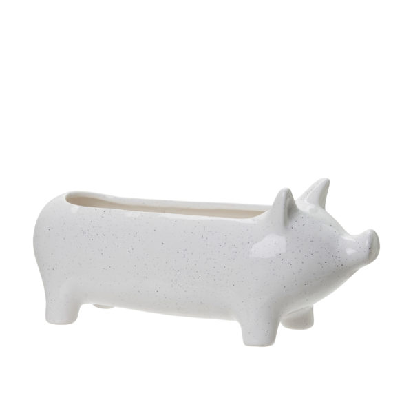 Pflanzschale Schwein