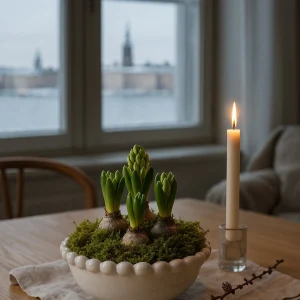 Weiße Keramikschale mit Moos und frischen Hyazinthen-Zwiebeln