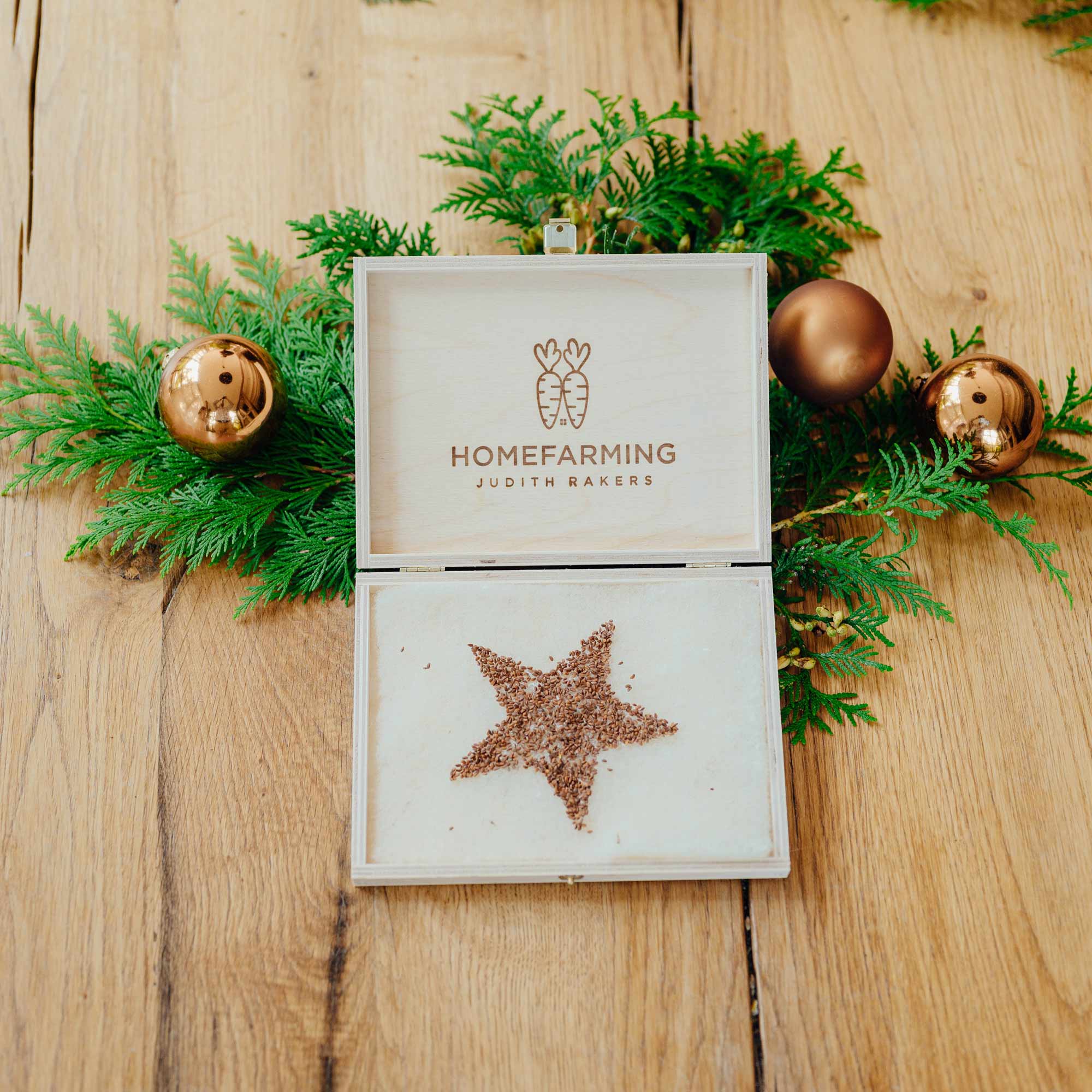 Kressestern *Frohes Fest* – Bild 3