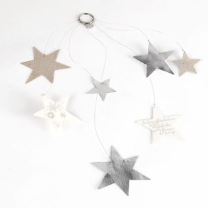 Sternenregen schneeflöckchen