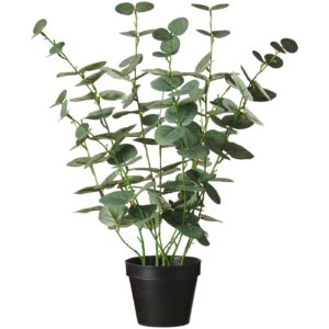Eucalyptus Kunstpflanze   H 52cm