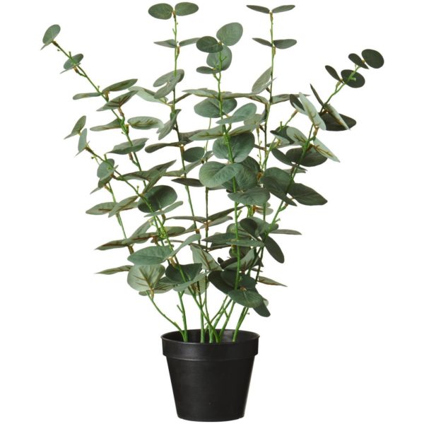 Eucalyptus Kunstpflanze   H 52cm