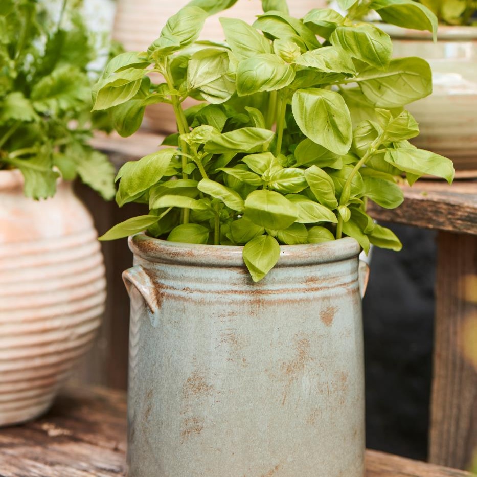 wohnen- Übertopf glasiert